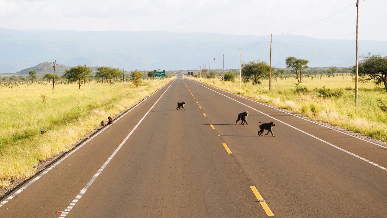 Reisspecialist Celia van Matoke Tours op studiereis door noordoost Oeganda