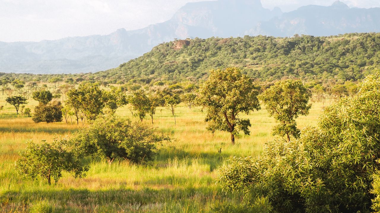 Reisspecialist Celia van Matoke Tours op studiereis door noordoost Oeganda