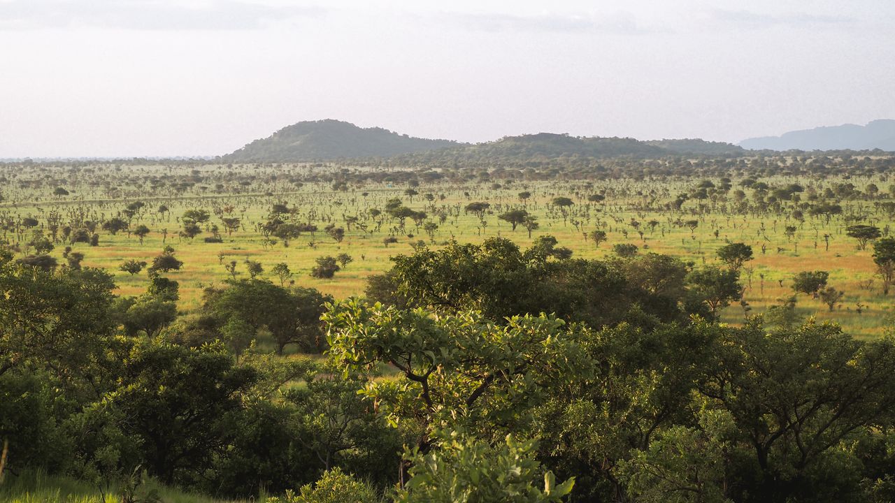 Reisspecialist Celia van Matoke Tours op studiereis door noordoost Oeganda