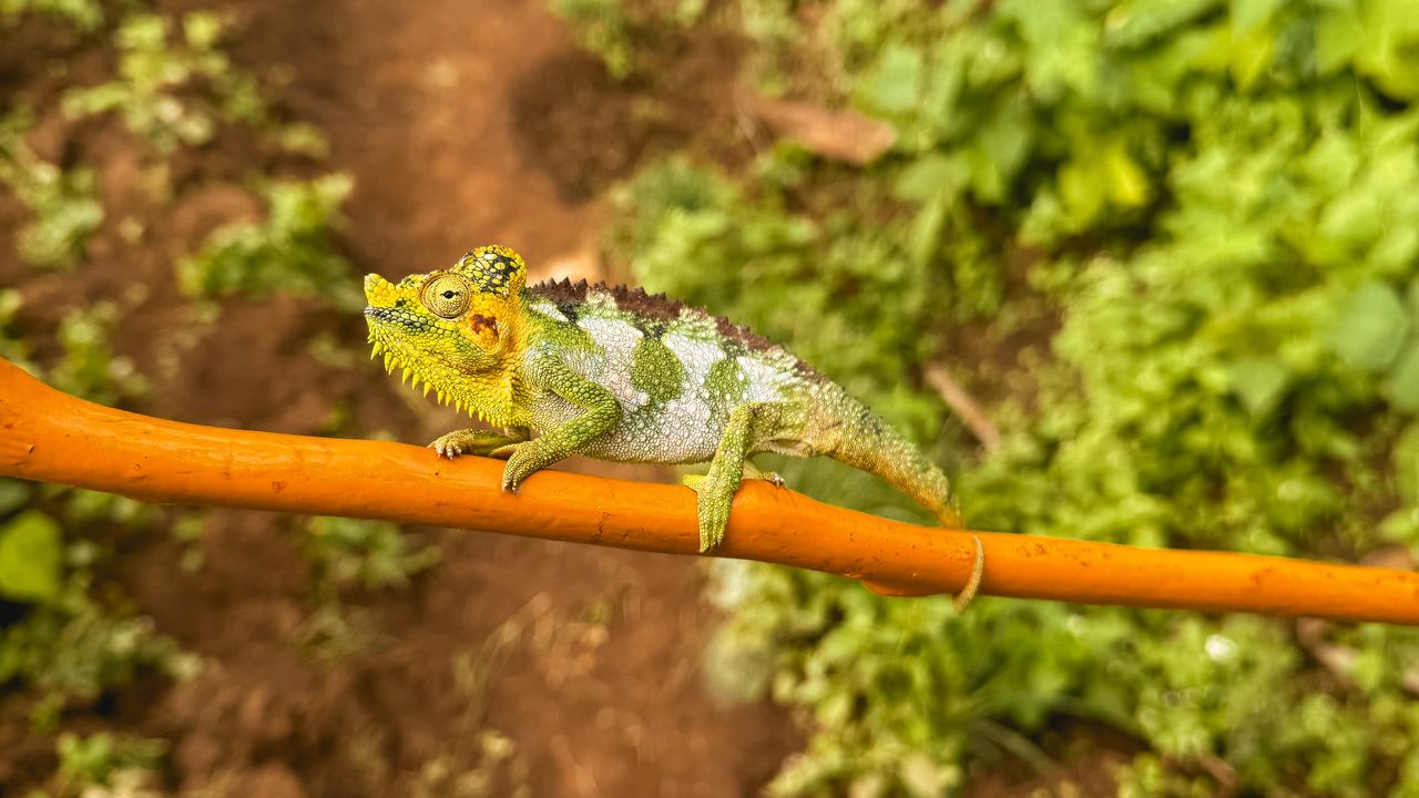Reisspecialist Celia van Matoke Tours op studiereis door noordoost Oeganda