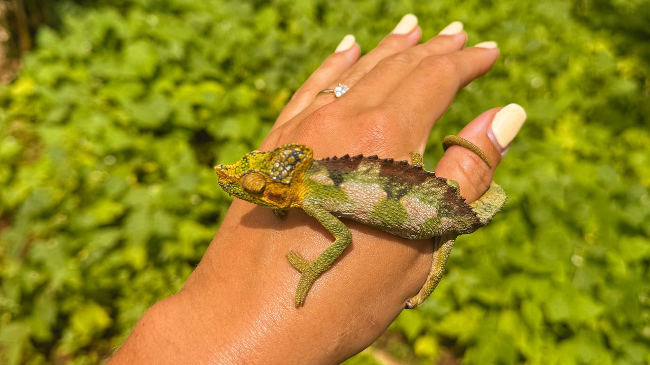 Reisspecialist Celia van Matoke Tours op studiereis door noordoost Oeganda