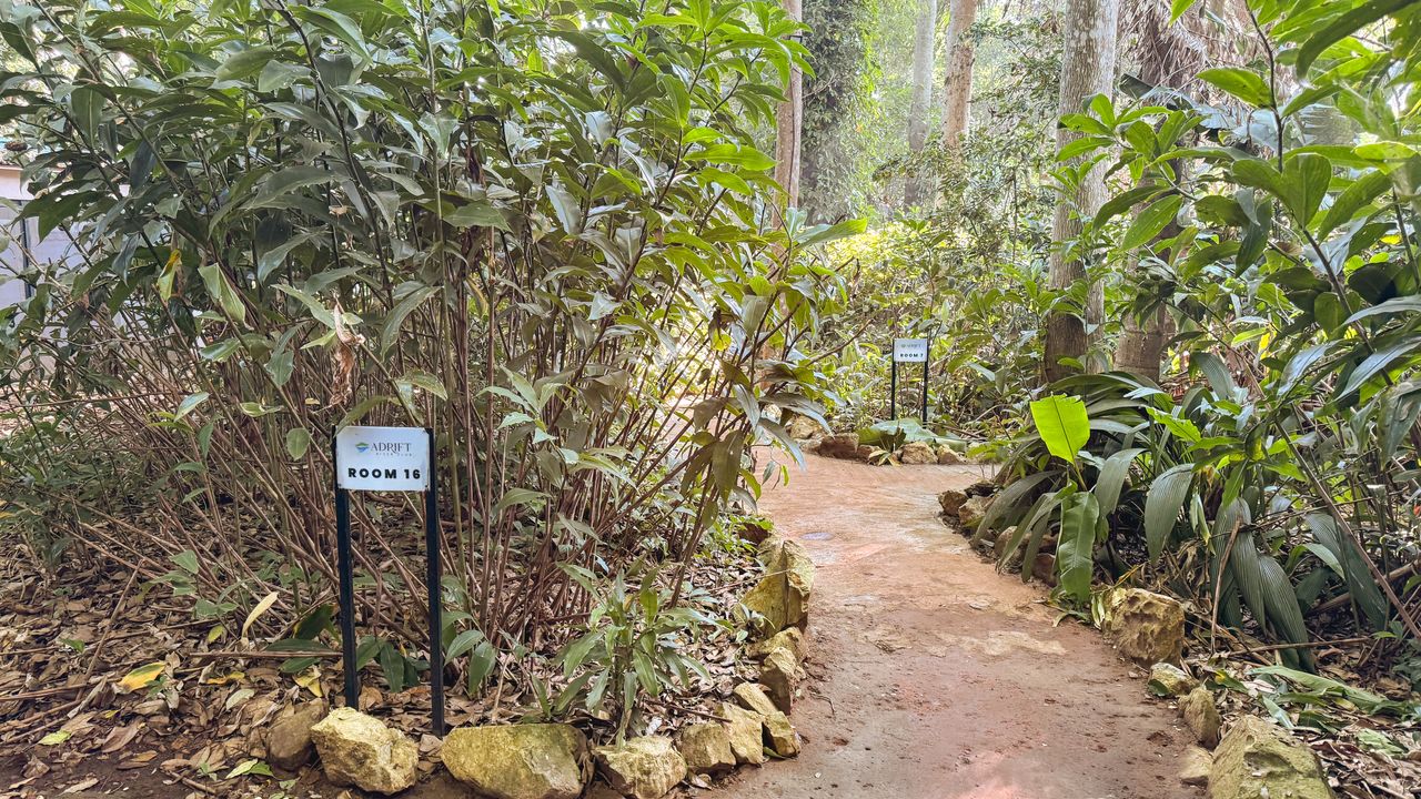 Reisspecialist Celia van Matoke Tours op studiereis door noordoost Oeganda