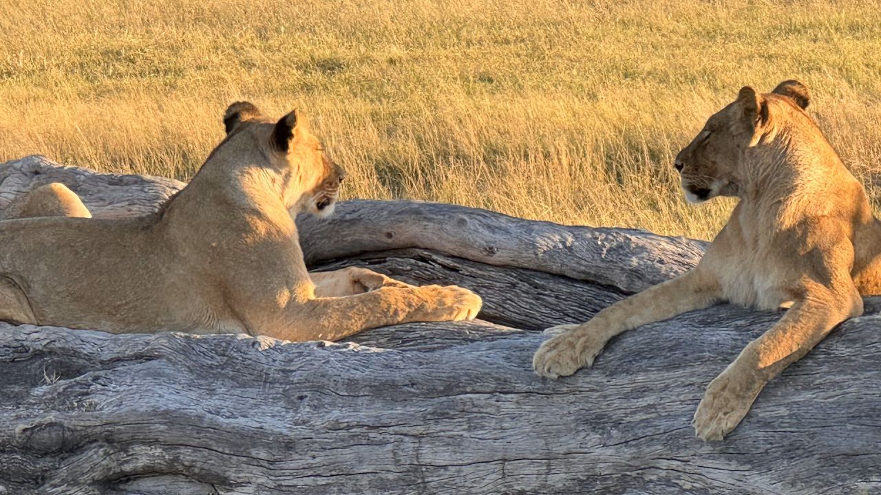 Reisspecialist Paula van Matoke Tours op studiereis in Zimbabwe