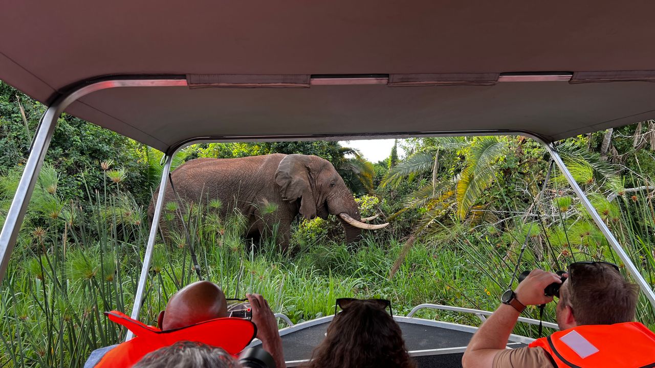 Reisspecialist Joanna op studiereis door Rwanda | Matoke Tours