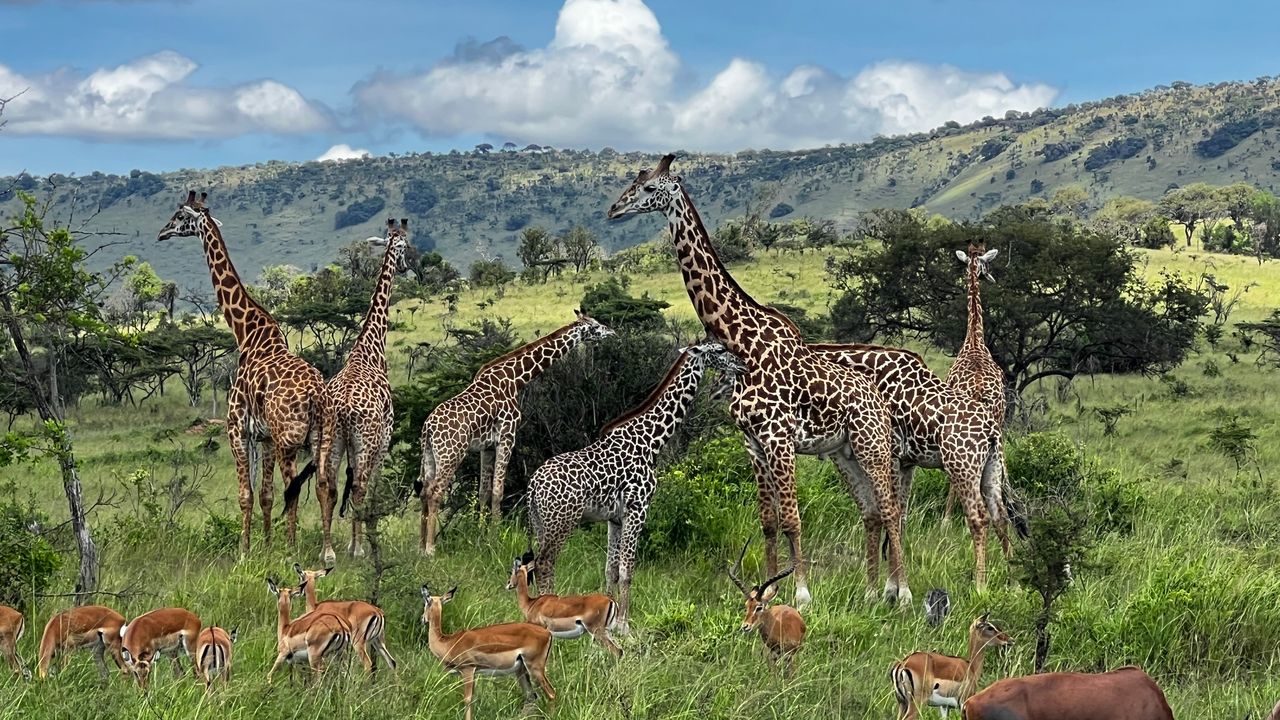 Reisspecialist Joanna op studiereis door Rwanda | Matoke Tours