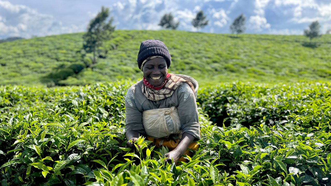 Reisspecialist Joanna op studiereis door Rwanda | Matoke Tours
