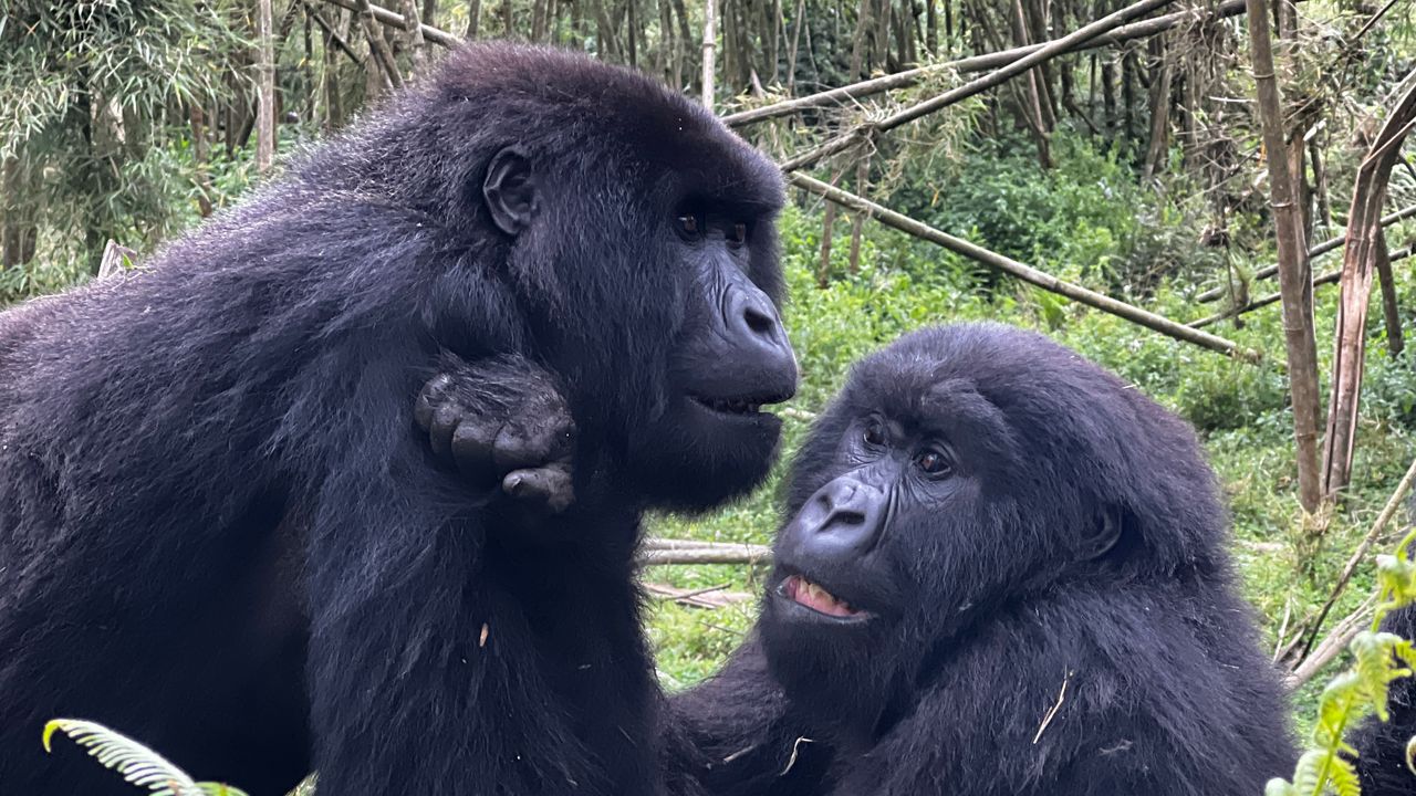 Reisspecialist Joanna op studiereis door Rwanda | Matoke Tours