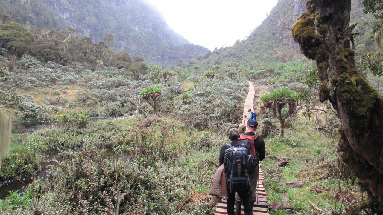 Oeganda actief met Rwenzori trekking » Matoke