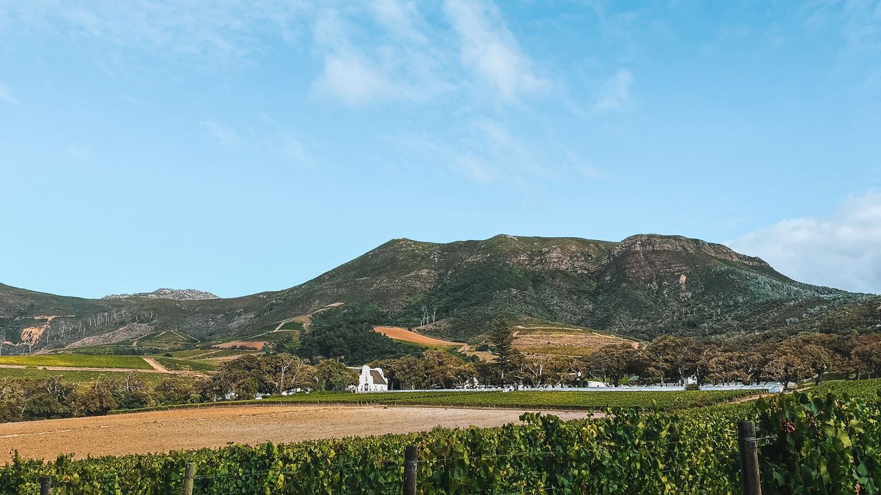 Hoe kies je de beste rondreis door Zuid-Afrika? | Matoke Tours