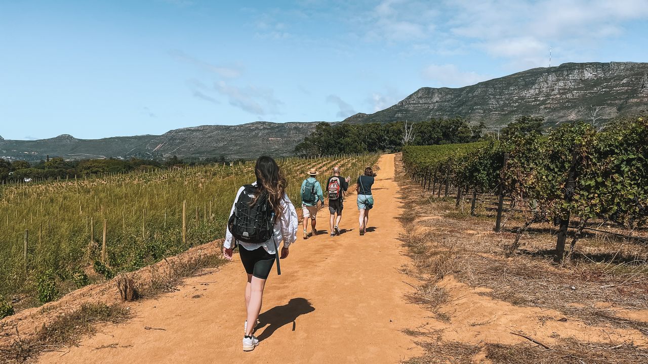 Hoe kies je de beste rondreis door Zuid-Afrika? | Matoke Tours