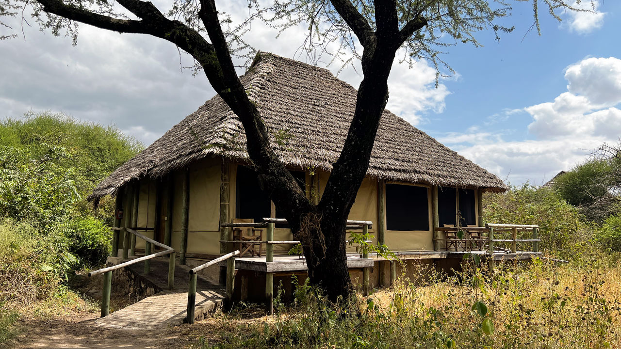 Reisspecialist Joanna van Matoke Tours op studiereis in Tanzania