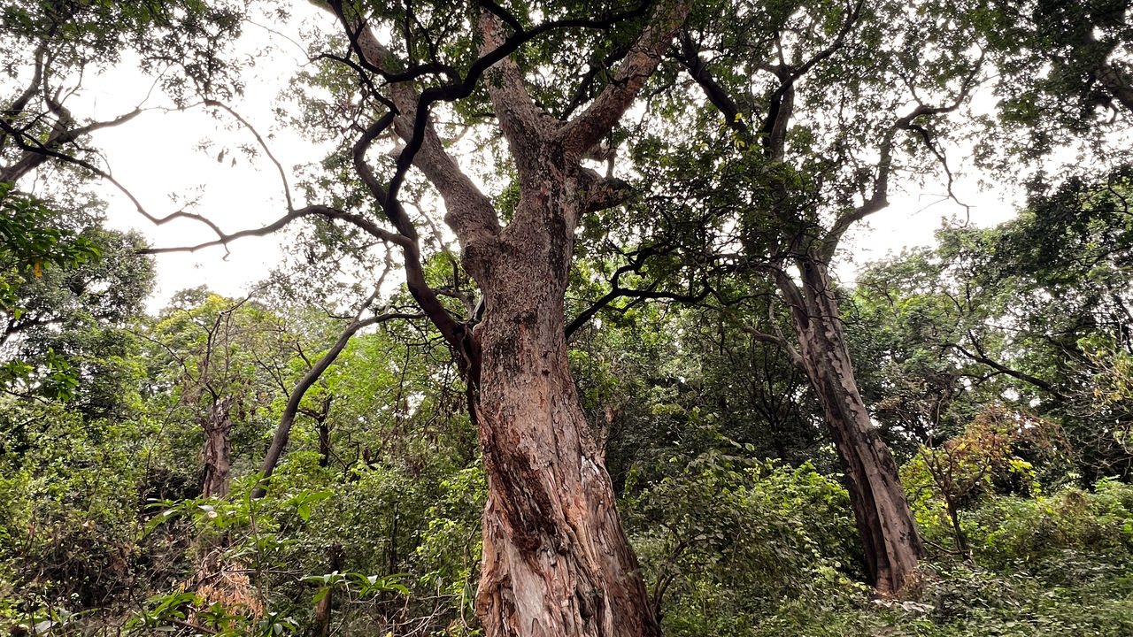 Reisspecialist Joanna van Matoke Tours op studiereis in Tanzania