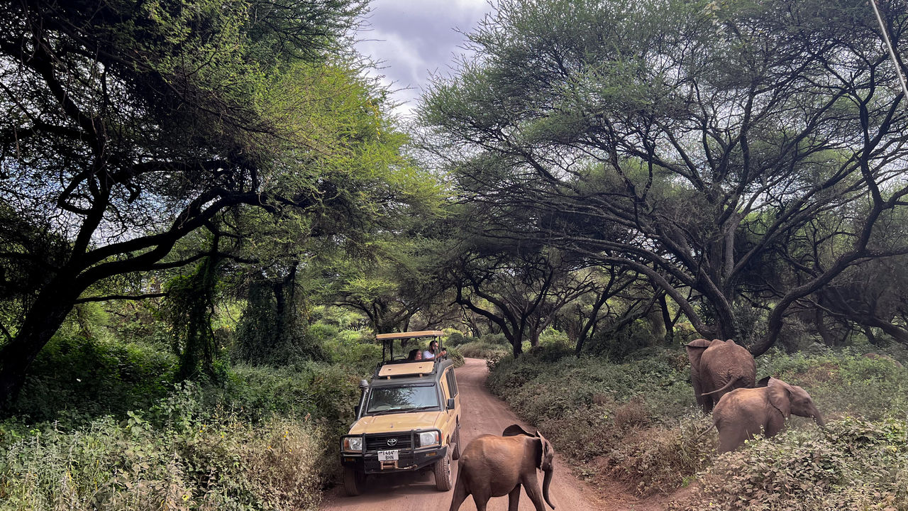 Reisspecialist Joanna van Matoke Tours op studiereis in Tanzania