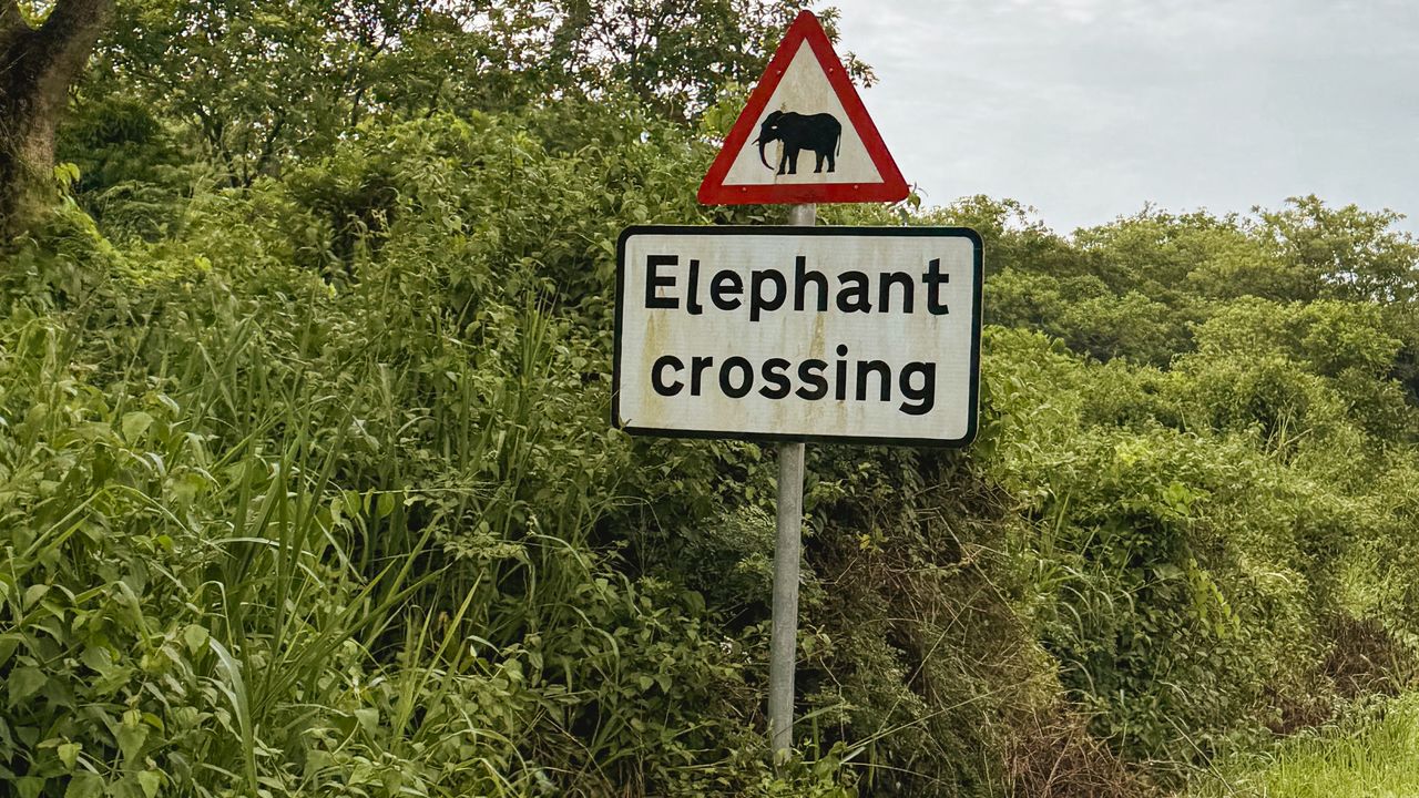 Reisspecialist Celia van Matoke Tours op studiereis door noordoost Oeganda