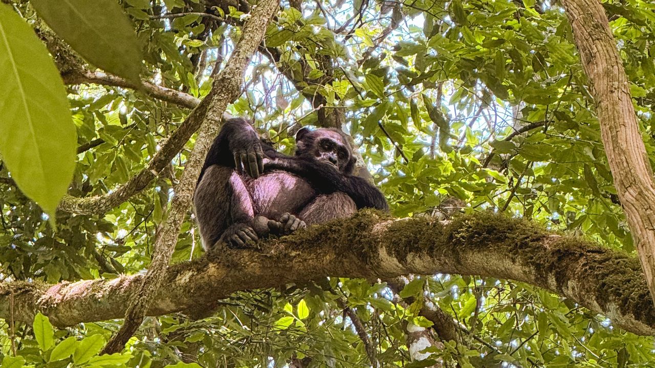 Reisspecialist Celia van Matoke Tours op studiereis door noordoost Oeganda