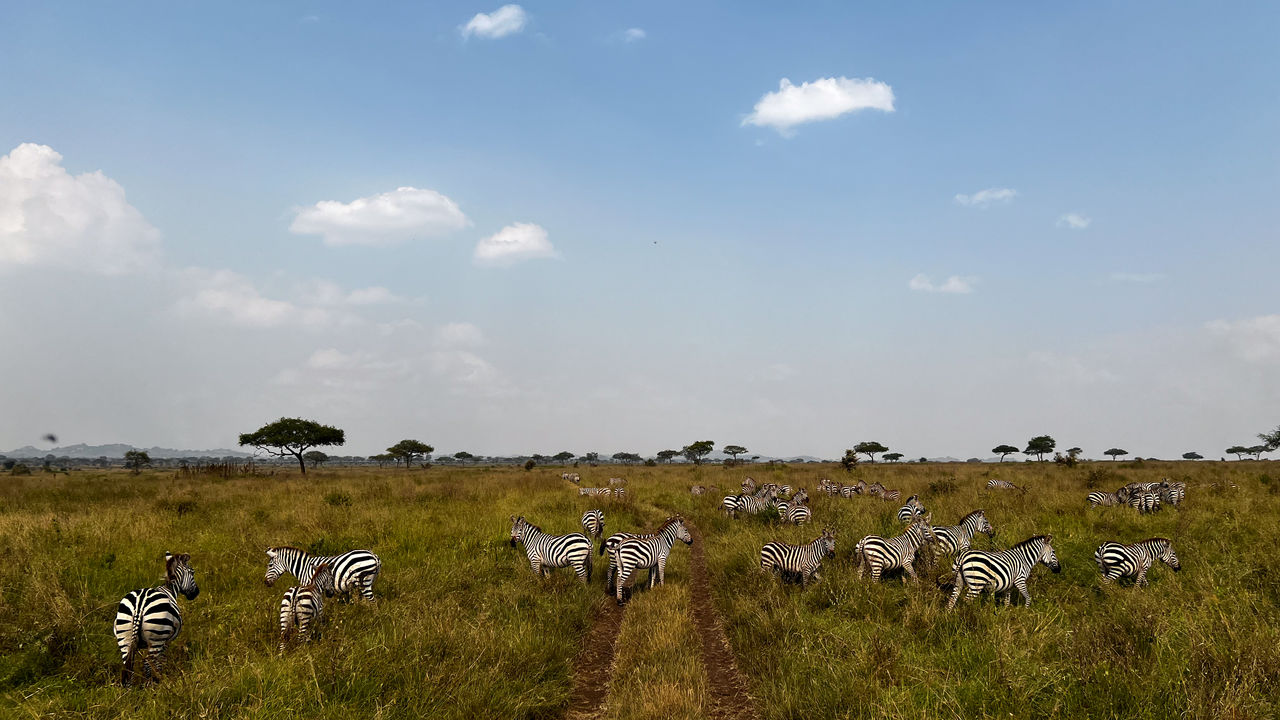 Reisspecialist Joanna van Matoke Tours op studiereis in Tanzania