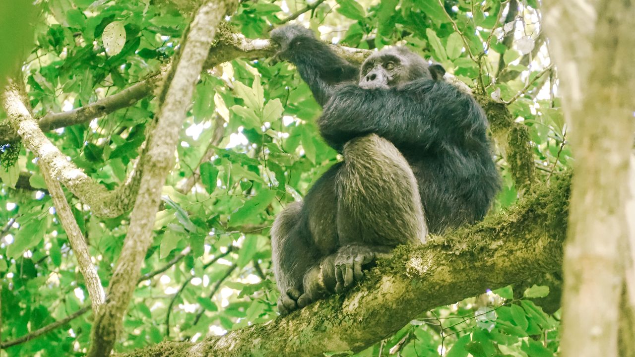 Reisspecialist Celia van Matoke Tours op studiereis door noordoost Oeganda