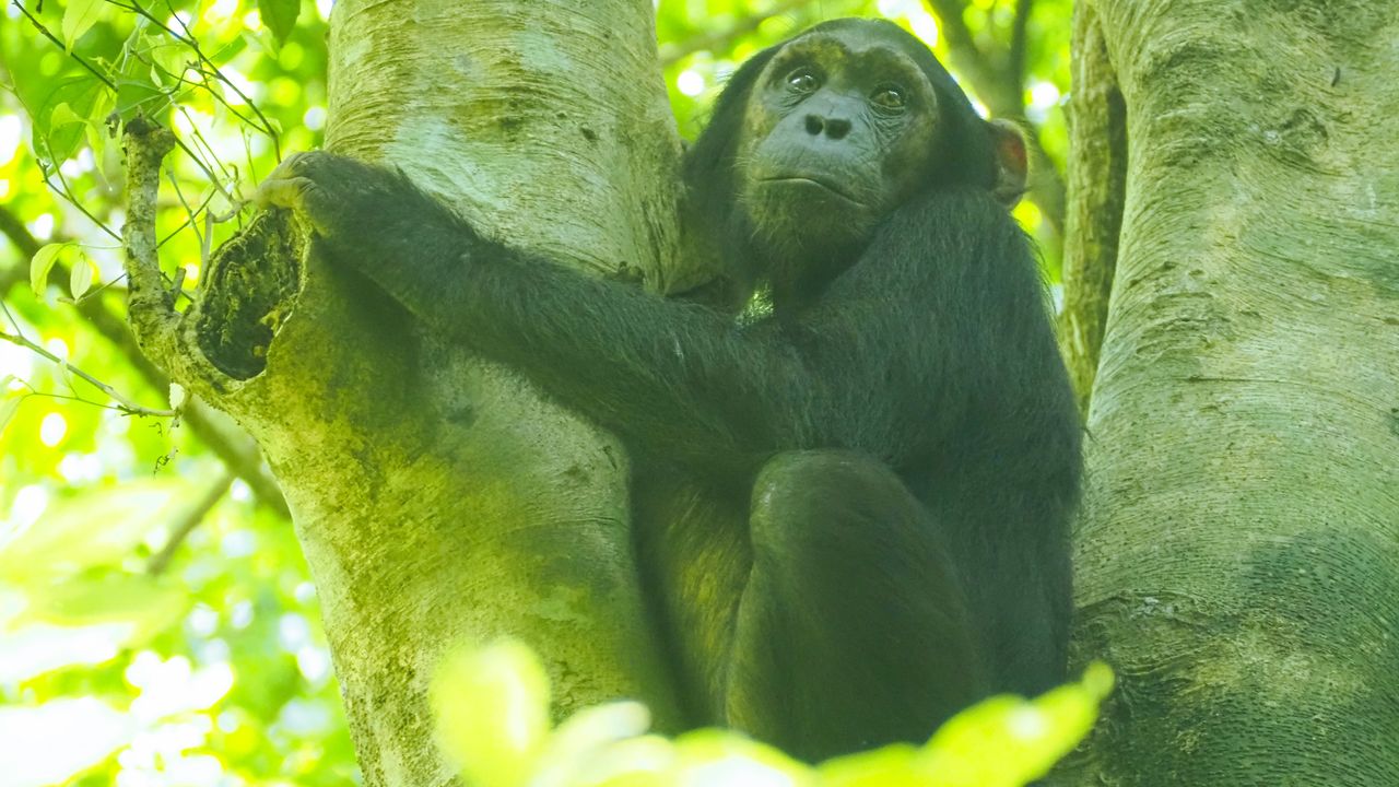 Reisspecialist Celia van Matoke Tours op studiereis door noordoost Oeganda