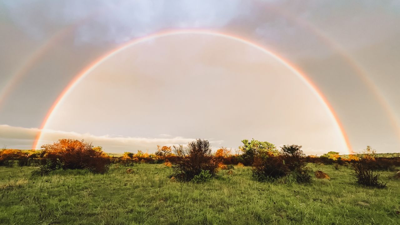 Reisspecialist Iris op studiereis in Zuid-Afrika en de Seychellen