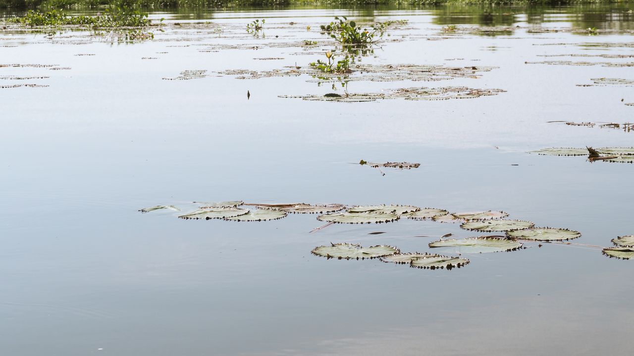 Reisspecialist Celia van Matoke Tours op studiereis door noordoost Oeganda