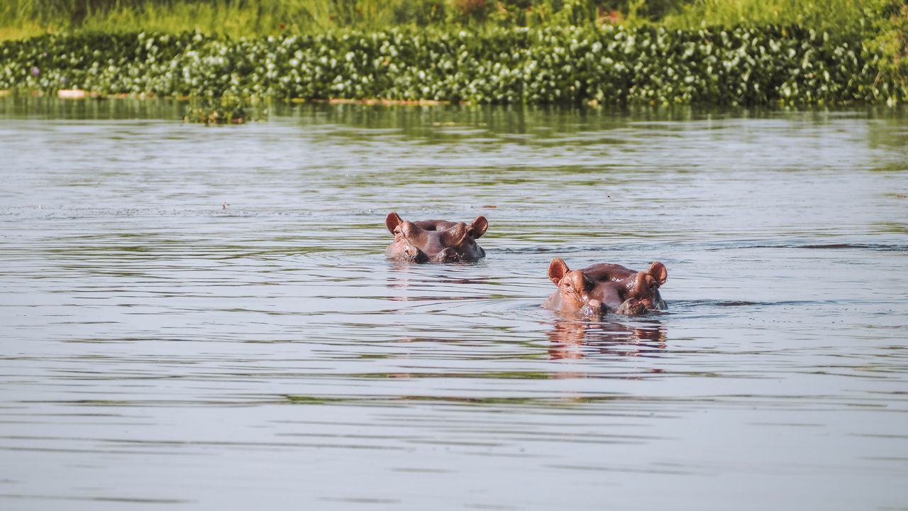 Reisspecialist Celia van Matoke Tours op studiereis door noordoost Oeganda
