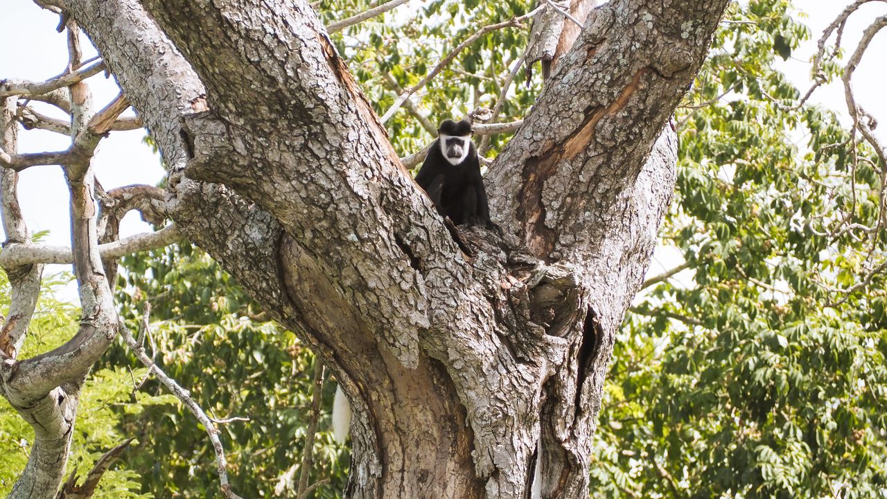 Reisspecialist Celia van Matoke Tours op studiereis door noordoost Oeganda