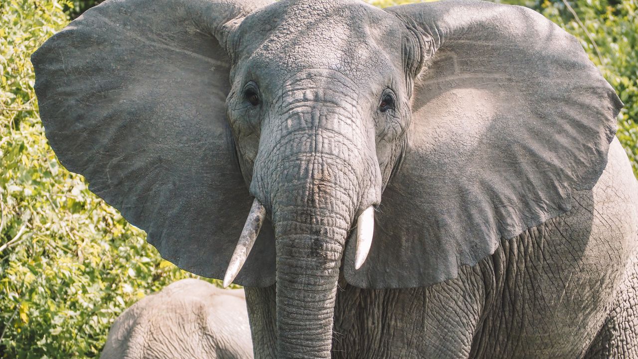 Reisspecialist Celia van Matoke Tours op studiereis door noordoost Oeganda