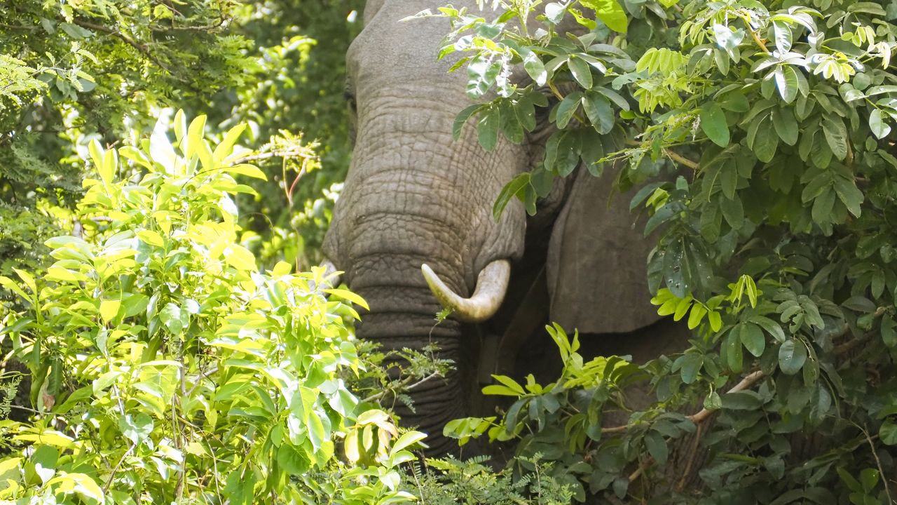Reisspecialist Celia van Matoke Tours op studiereis door noordoost Oeganda