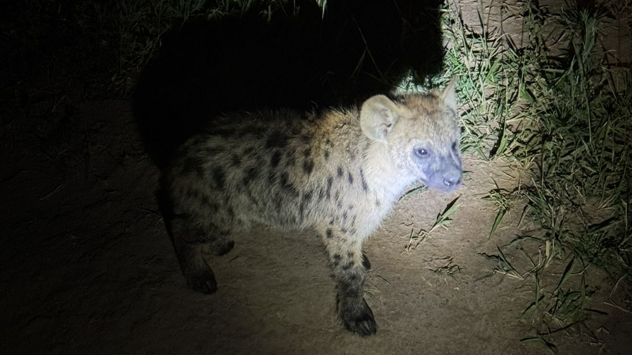 Reisspecialist Celia van Matoke Tours op studiereis door noordoost Oeganda