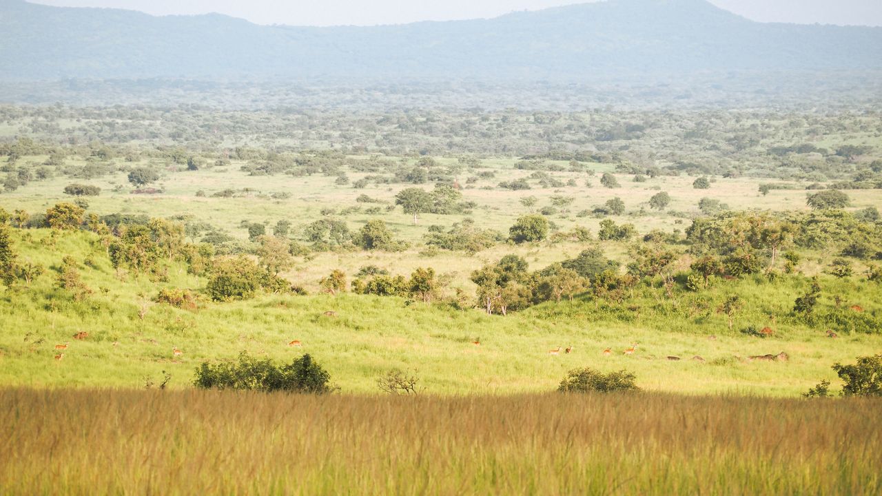 Reisspecialist Celia van Matoke Tours op studiereis door noordoost Oeganda