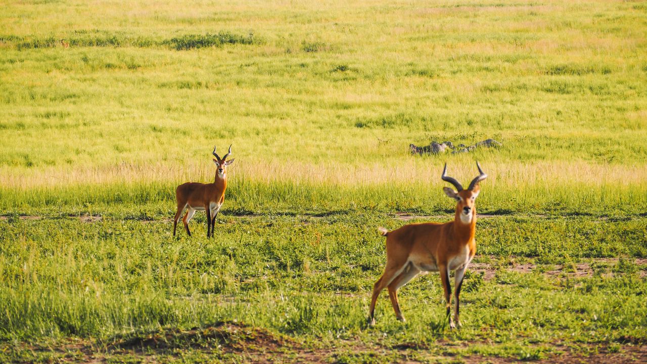 Reisspecialist Celia van Matoke Tours op studiereis door noordoost Oeganda
