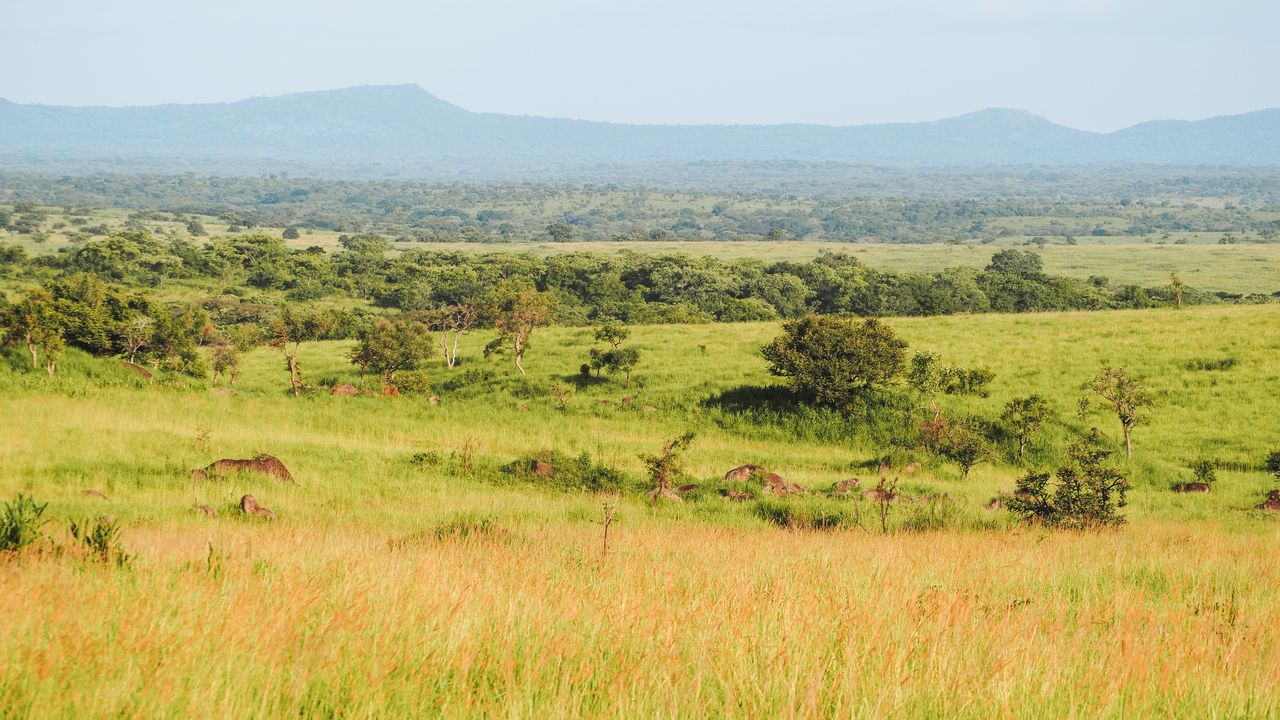 Reisspecialist Celia van Matoke Tours op studiereis door noordoost Oeganda
