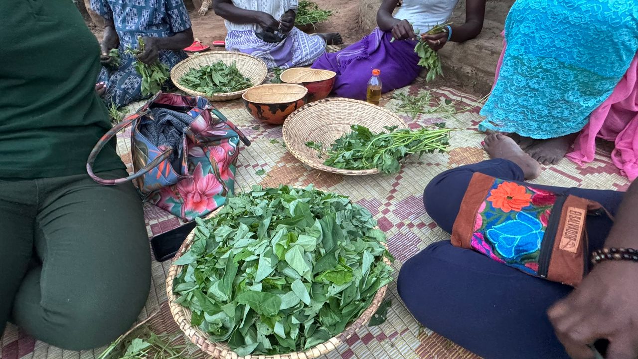 Reisspecialist Celia van Matoke Tours op studiereis door noordoost Oeganda