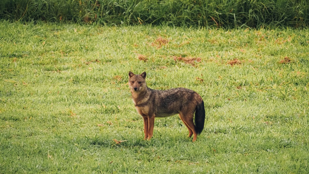 Reisspecialist Celia van Matoke Tours op studiereis door noordoost Oeganda