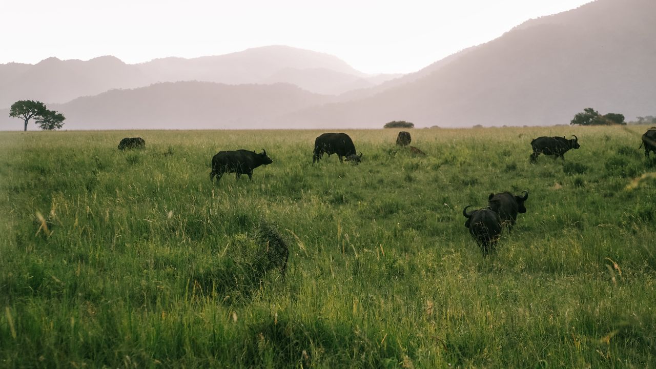 Reisspecialist Celia van Matoke Tours op studiereis door noordoost Oeganda
