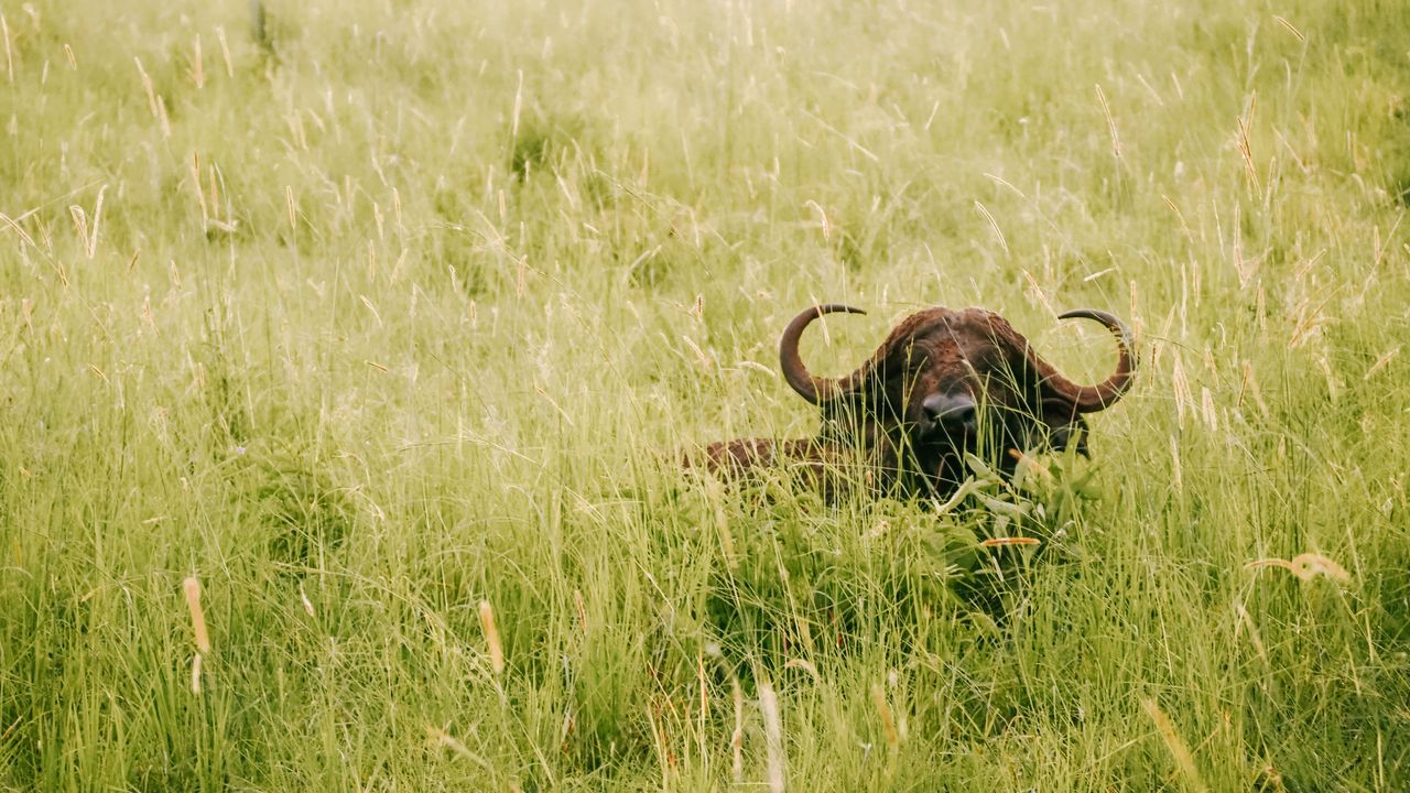 Reisspecialist Celia van Matoke Tours op studiereis door noordoost Oeganda