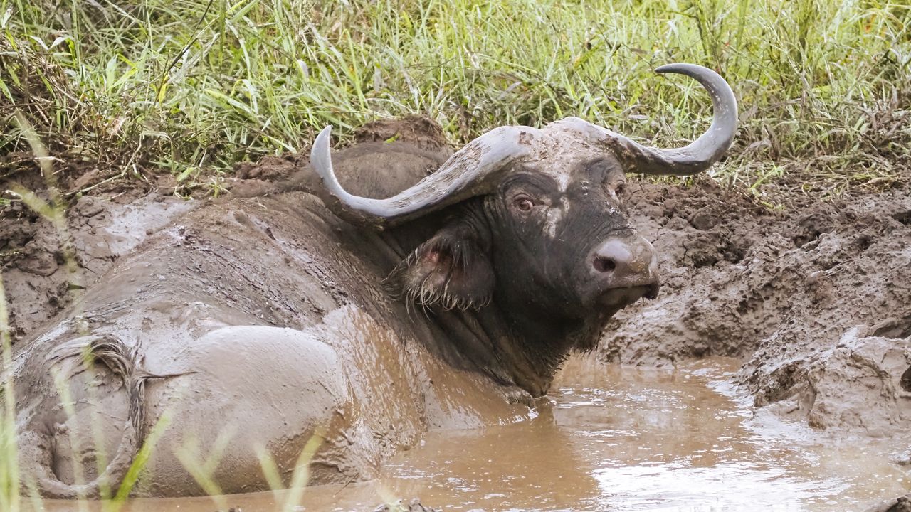 Reisspecialist Celia van Matoke Tours op studiereis door noordoost Oeganda