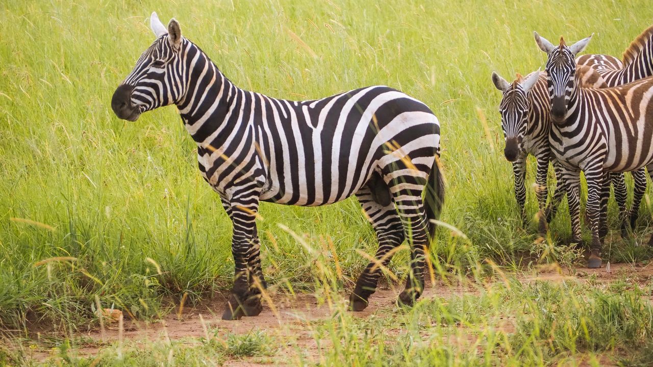 Reisspecialist Celia van Matoke Tours op studiereis door noordoost Oeganda