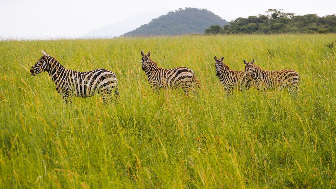 Reisspecialist Celia van Matoke Tours op studiereis door noordoost Oeganda