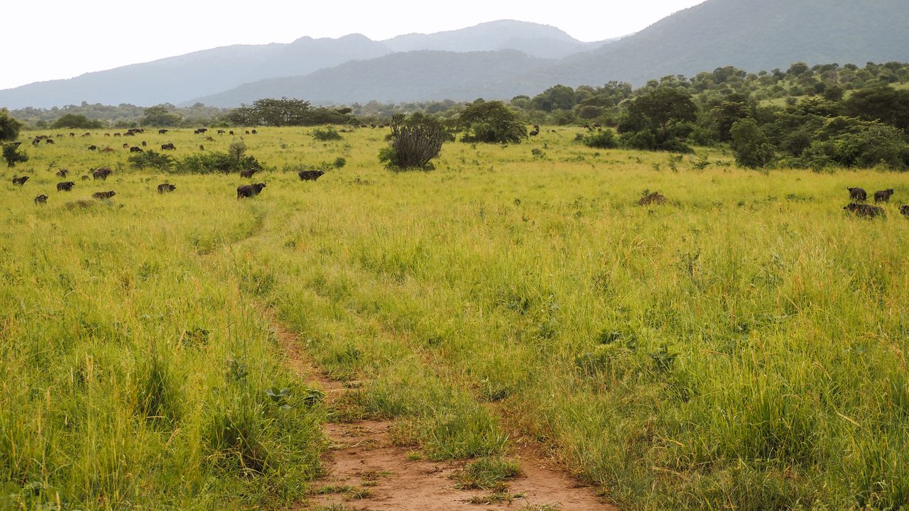 Reisspecialist Celia van Matoke Tours op studiereis door noordoost Oeganda