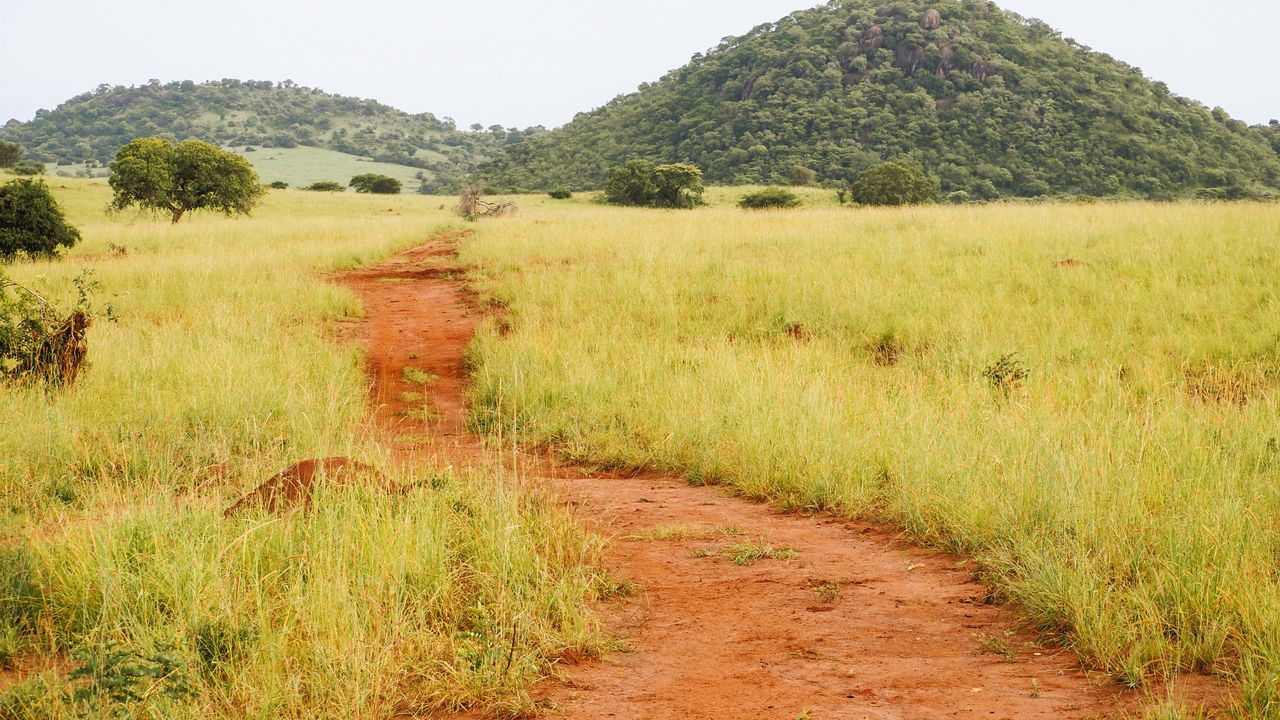 Reisspecialist Celia van Matoke Tours op studiereis door noordoost Oeganda