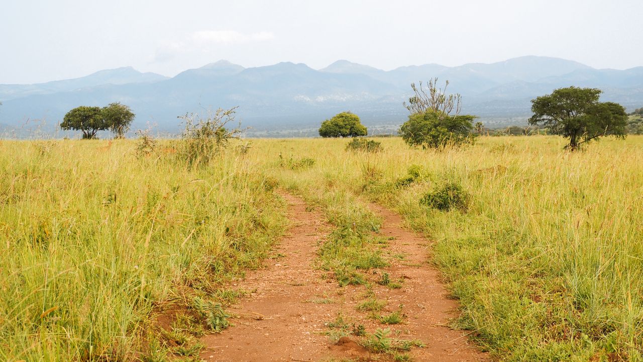 Reisspecialist Celia van Matoke Tours op studiereis door noordoost Oeganda