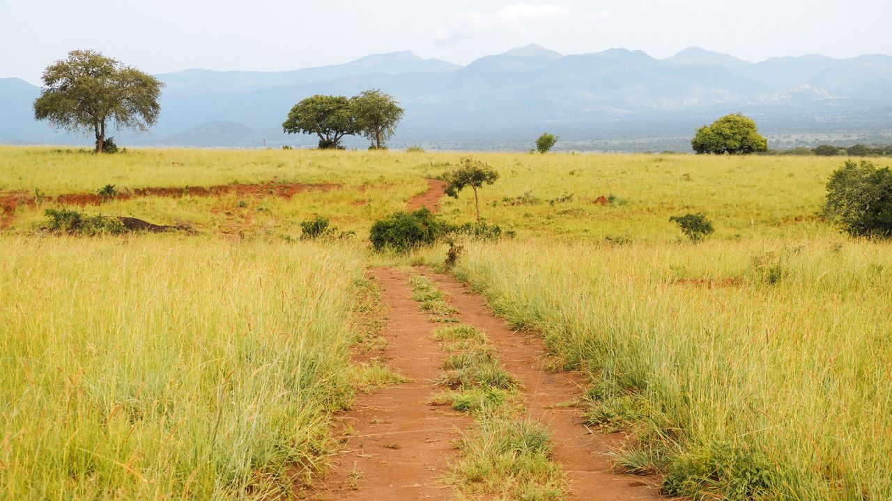 Reisspecialist Celia van Matoke Tours op studiereis door noordoost Oeganda