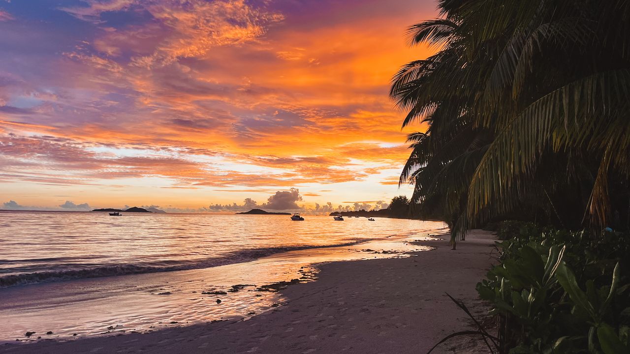 Reisspecialist Iris op studiereis in Zuid-Afrika en de Seychellen
