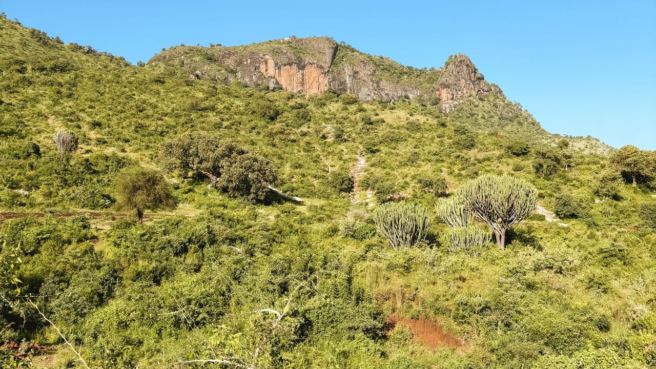 Reisspecialist Celia van Matoke Tours op studiereis door noordoost Oeganda