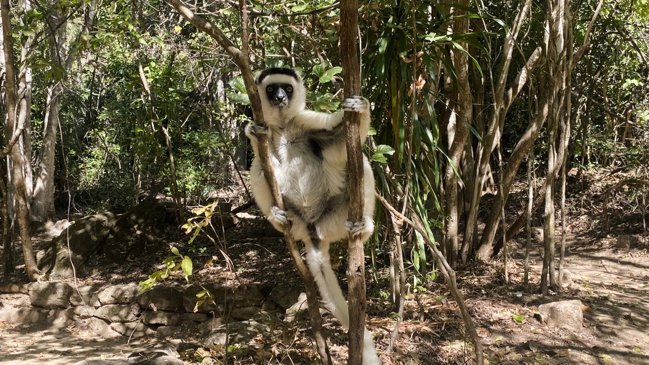 Reisspecialist Sanne op studiereis in Madagascar | Matoke Tours
