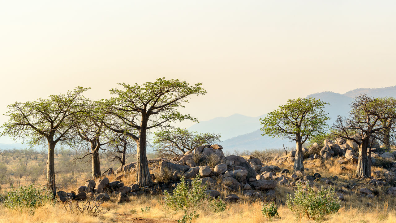 Fly-in safari Tanzania - Zuid Tanzania per vliegtuig - Matoke Tours