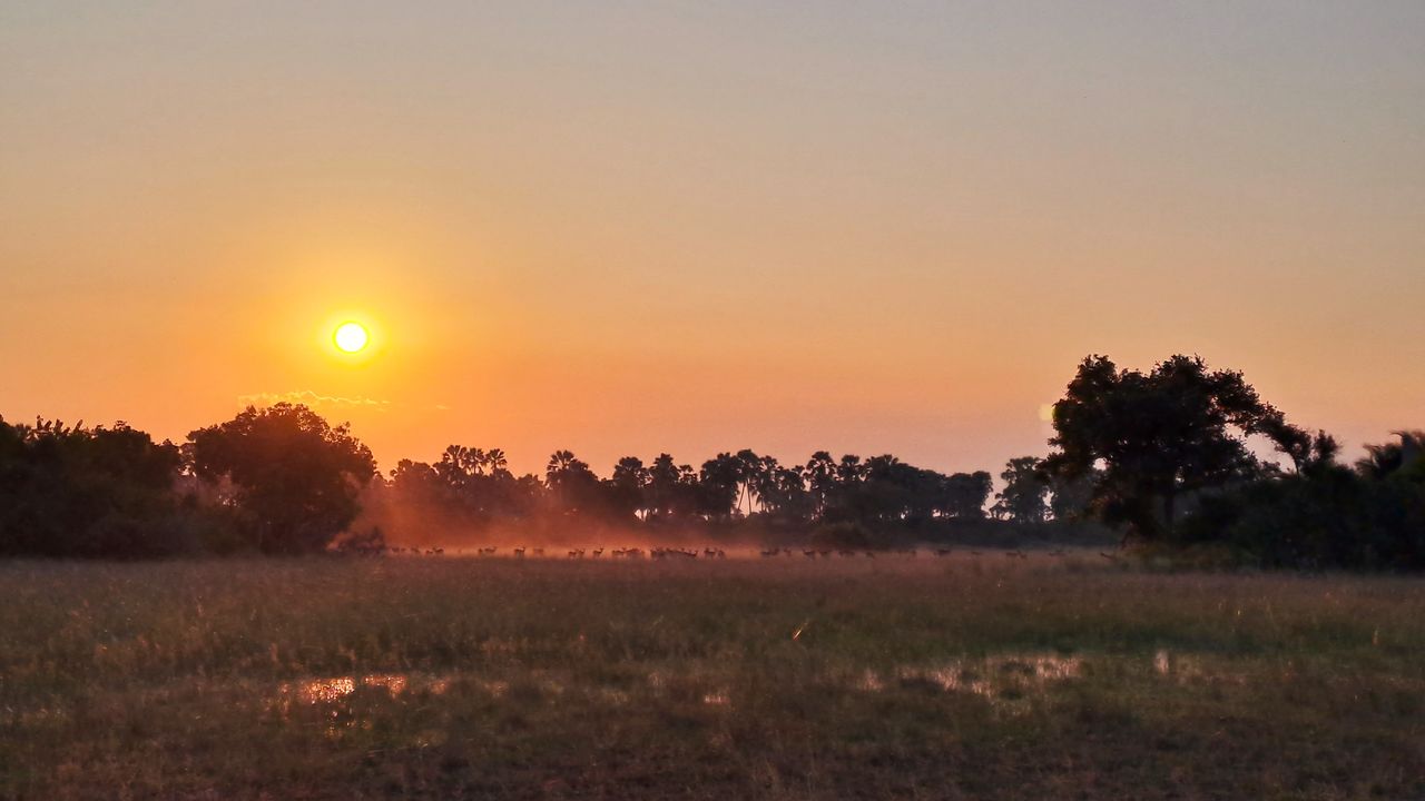 Reisspecialist Paula van Matoke Tours op studiereis in Botswana