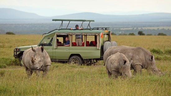 Ol Pejeta Conservancy - Tips & informatie | Matoke Tours