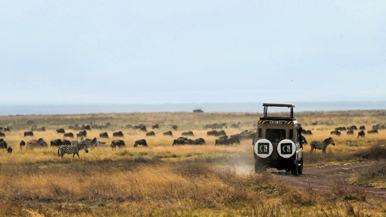 Fotograaf: Jelger van Weydom
Noteer naam wanneer je deze foto gebruikt.
